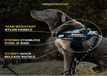 Buy the Best No-Pull Harness and Dog Care Product Online to Make Your Dog More Comfortable